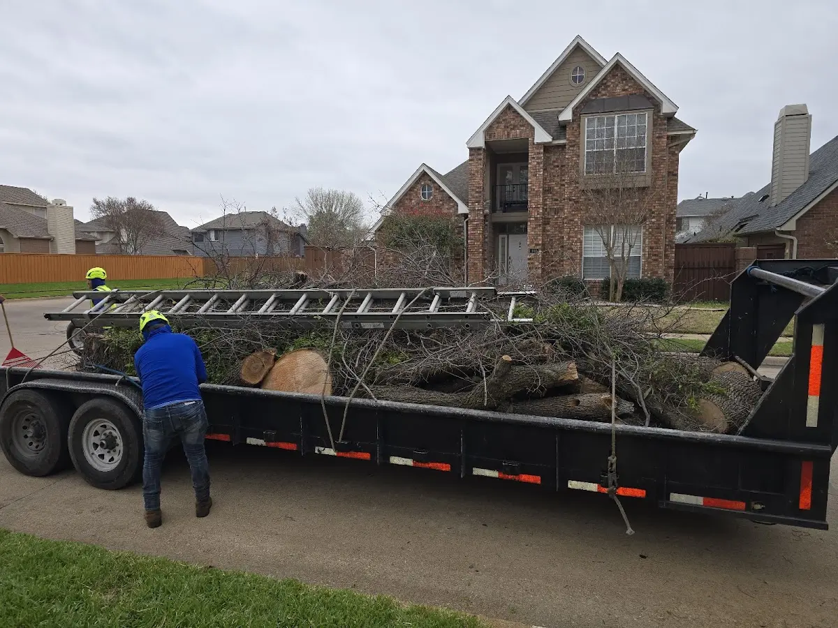 Expert Tree Fertilization with proper safety equipment in Jacksonville